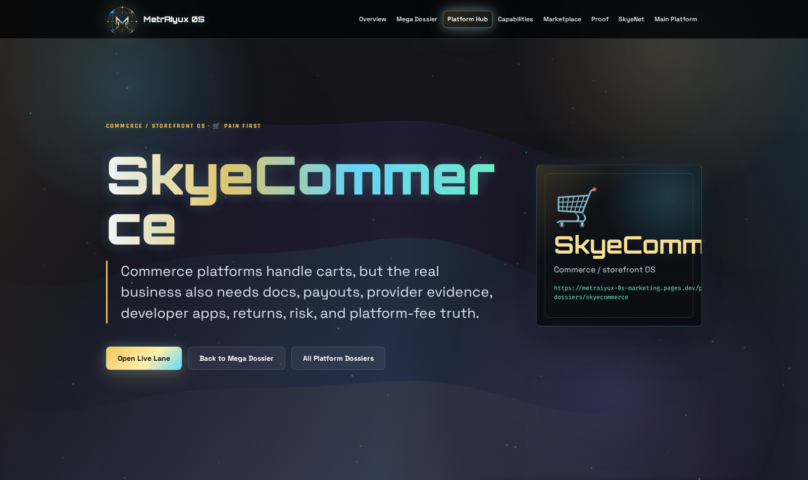 SkyeCommerce founder store surface screenshot