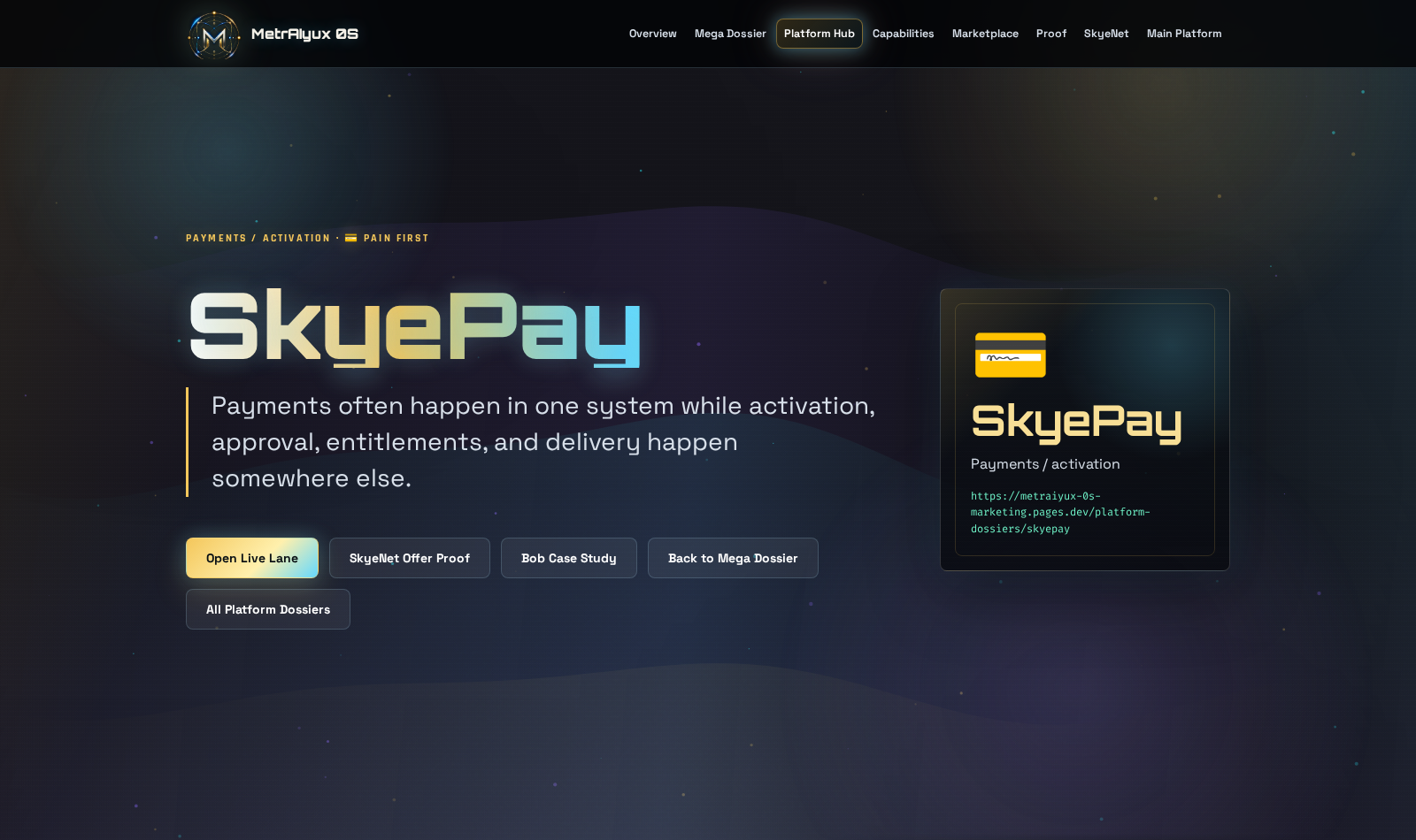 SkyePay checkout surface